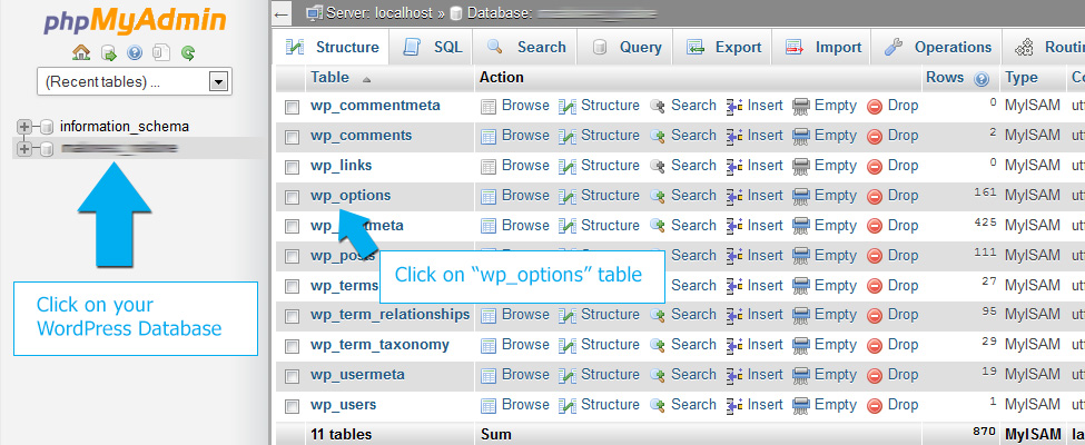 select-wp-options