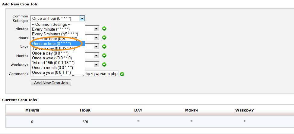wp-cron-select-once-an-hour